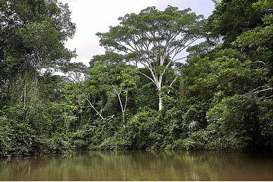 Otomate 新作《Radiant Tale》开场动画公开 游戏将于5月26日发售